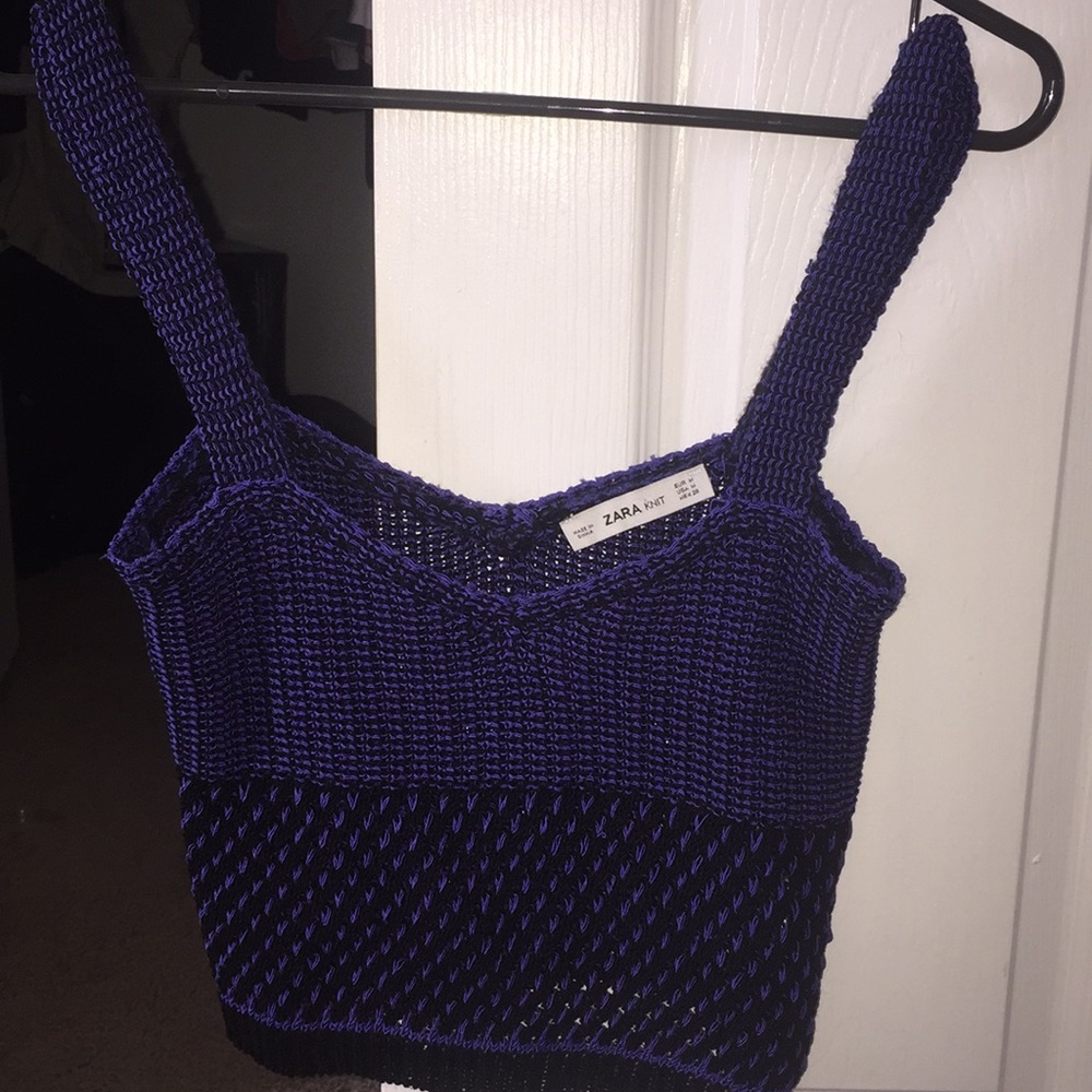 ZARA Knit Crop Tank Top in Deep Purple